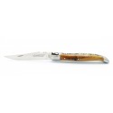 Pocket knife Laguiole 10cm 2 bolsters in pistachio
