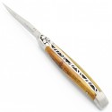 Pocket knife Laguiole 10cm 2 bolsters in pistachio