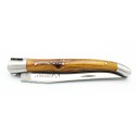Pocket knife Laguiole 10cm 2 bolsters in pistachio