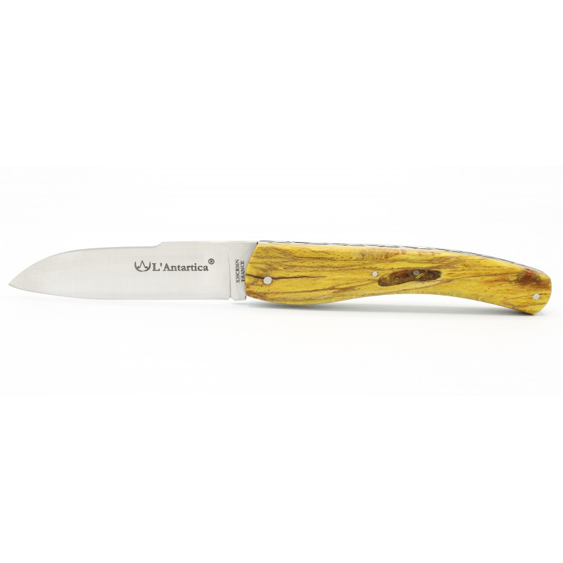 Couteau L'Antartica 12cm Hêtre de l'Aubrac jaune
