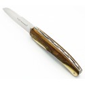 Couteau L'Antartica 12cm en Pistachier