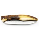 Couteau Le Loki 12cm plein manche en pistachier