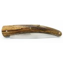 Couteau L'Espalion plein manche en Cocobolo