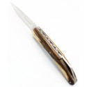 Couteau L'Espalion Lady Pont en Pistachier