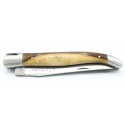 Laguiole 12 cm 2 mitres en pistachier