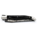 Laguiole pocket knife 12 cm 2 bolsters  in horn tip, engraved rugby ball