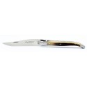 Laguiole pocket knife 13 cm 2 bolsters  in horn tip