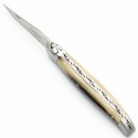 Laguiole pocket knife 13 cm 2 bolsters  in horn tip