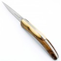 Table knives Espalion in olivewood