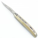 Laguiole 11 cm plein manche en pointe de corne blonde
