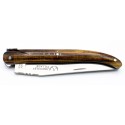 Laguiole folding knife in bronze and brass in resin