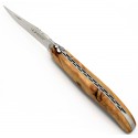 Laguiole folding knife in bronze and brass in resin