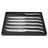 Box of 6 table knives entirely in stainless steel