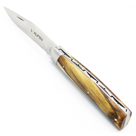 Pocket knife l'Alpin chiselled spring in pistachio