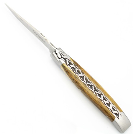 Laguiole pocket knife 12 cm double chiseled plates 2 bolsters in pistachio