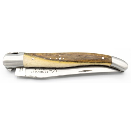 Laguiole pocket knife 12 cm double chiseled plates 2 bolsters in pistachio