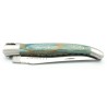 Laguiole pocket knife 12 cm doble chiselled plates in turquoize beech
