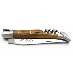 Laguiole pocket knife 11 cm 2 bolsters with a corkscrew in pistachio