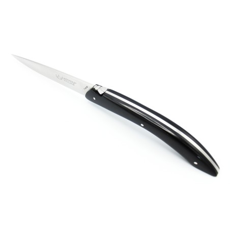 Lancelot table knives in glass fiber