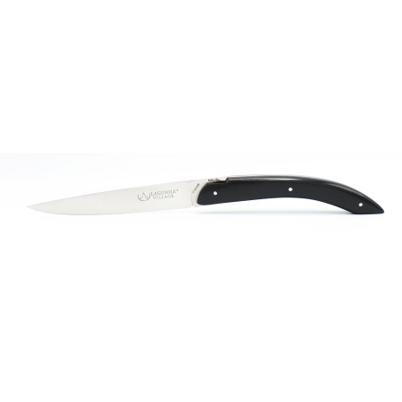 Lancelot table knives in glass fiber