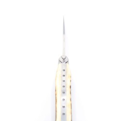Alpin pocket knife deer antler