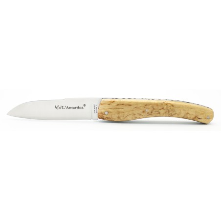 Pocket knife l'Antartica in Arctic birch wood